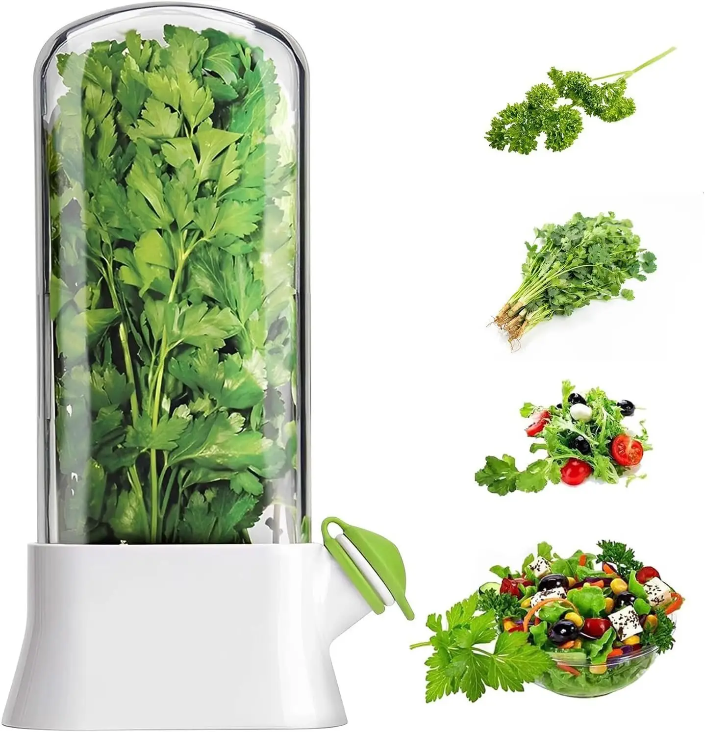 Herb Keeper Container - Herb Keeper for Refrigerator Keep Herbs