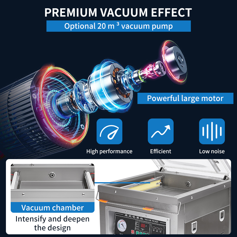DZ-500 Professional Electric C - đánh giá và giá Food Storage Long Term